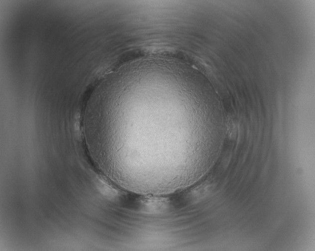 X0000075870670200609291615