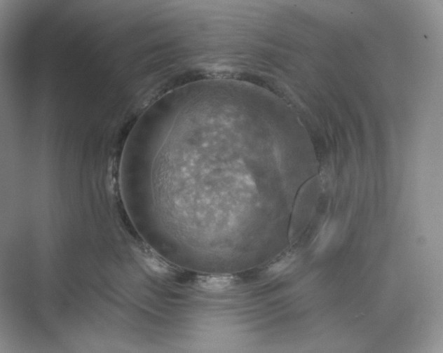 X0000075870671200609291615
