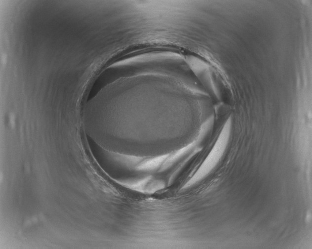 X0000075870673200609291614