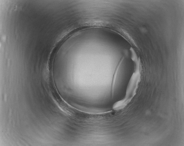 X0000075870674200609291614