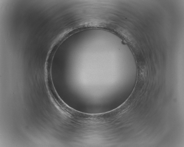 X0000075870678200609291614