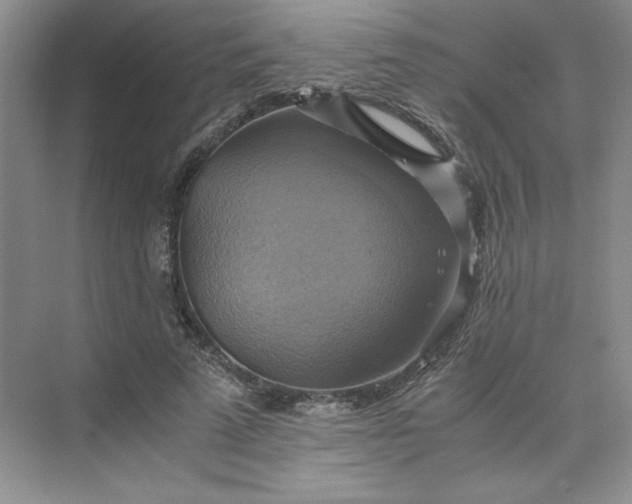 X0000075870689200609291614