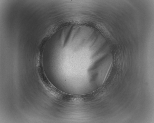 X0000075870694200609291614