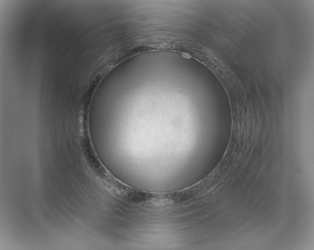 X0000075870696200609291614