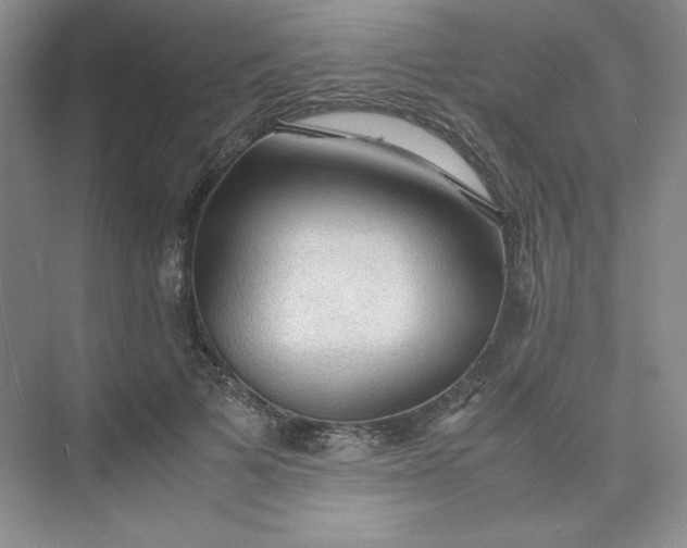 X0000075870697200609291614