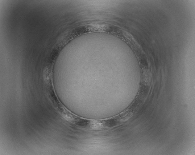 X0000075870701200609291614
