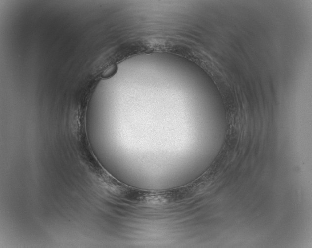 X0000075870702200609291614