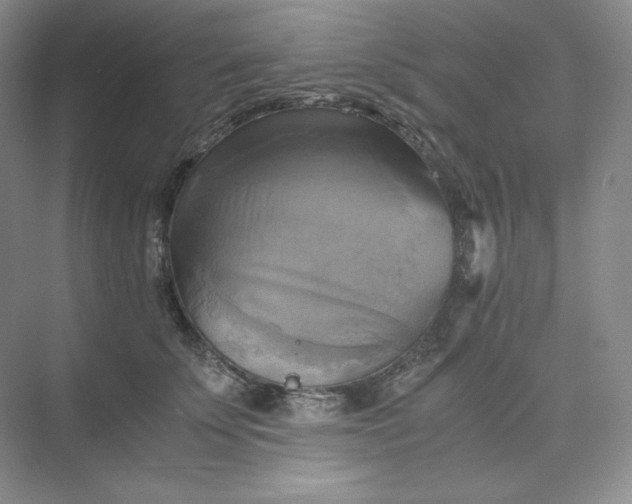 X0000075870707200609291614