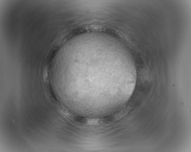 X0000075870709200609291614
