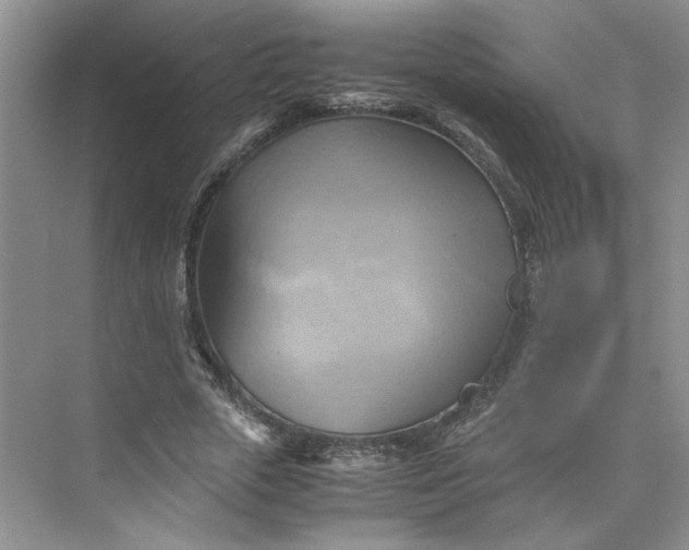 X0000075870729200609291613