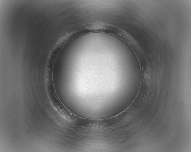 X0000075870732200609291613