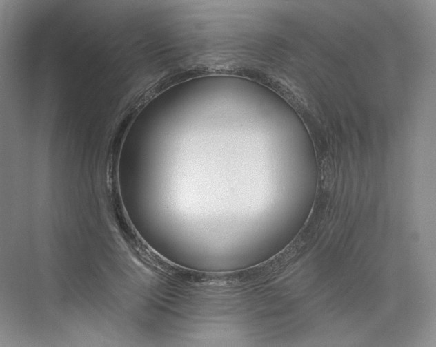 X0000075870740200609291613