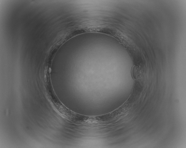 X0000075870742200609291613