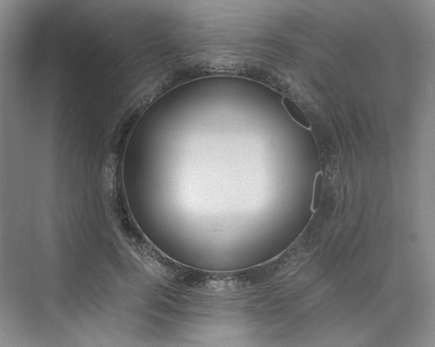 X0000075870744200609291613