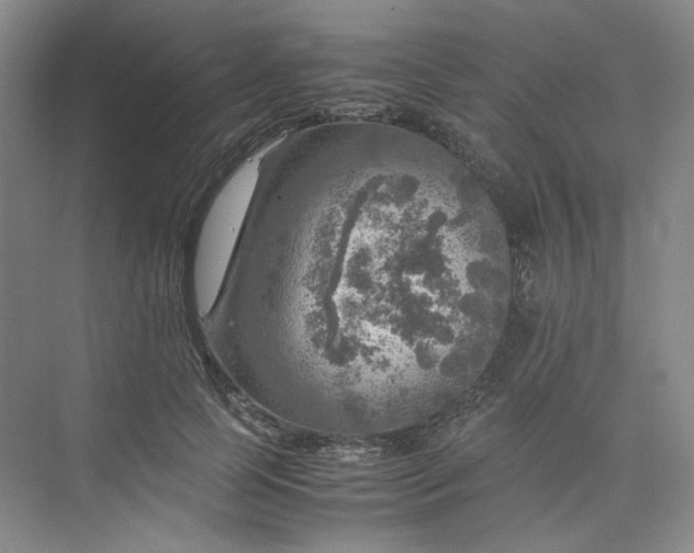 X0000075870745200609291613