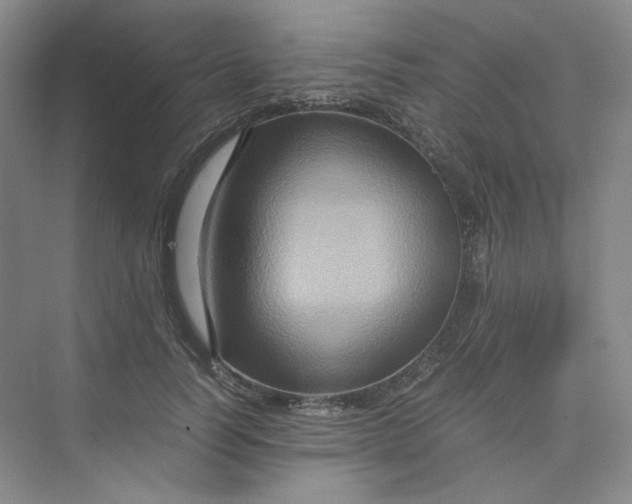 X0000075870746200609291613