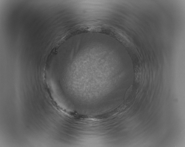 X0000075870748200609291613