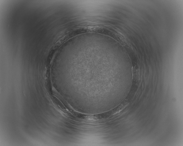X0000075870750200609291613