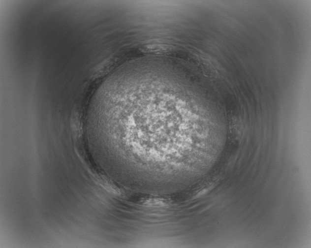 X0000075870751200609291613