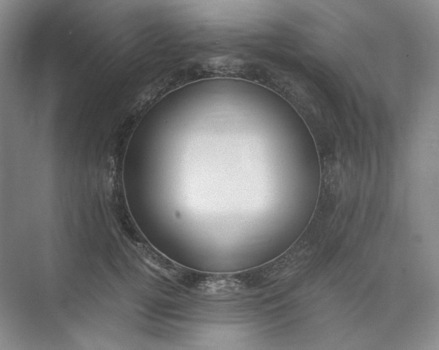 X0000075870752200609291613