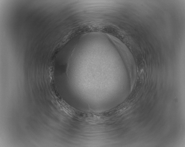 X0000075870772200609291613