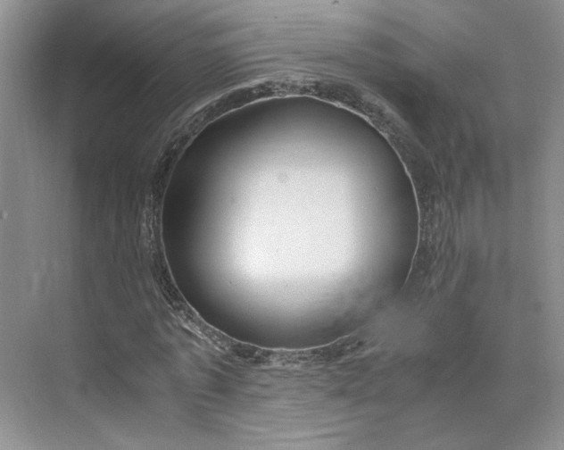 X0000075870773200609291613