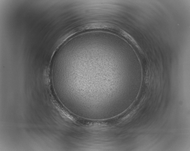 X0000075870786200609291613
