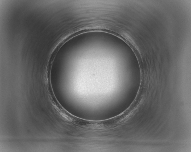 X0000075870789200609291612