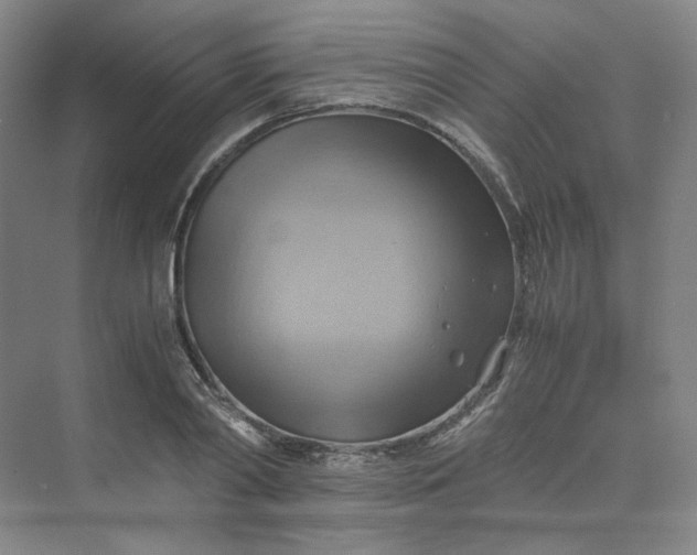 X0000075870790200609291612