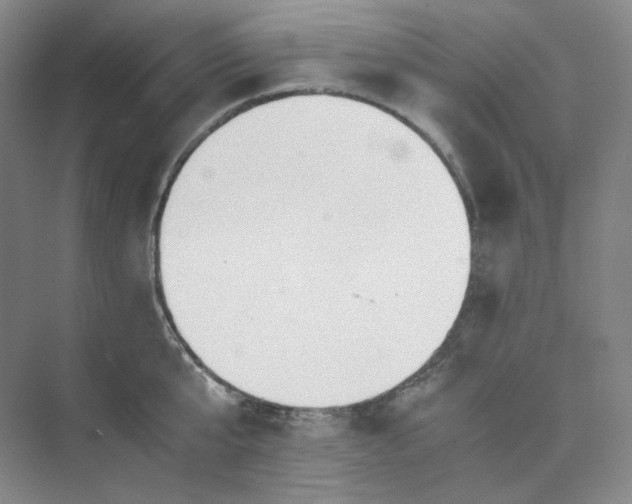 X0000075870807200609291612