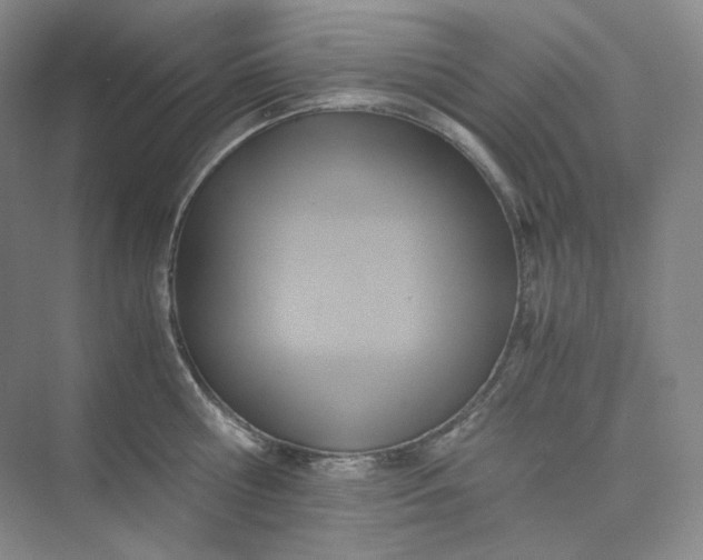 X0000075870810200609291612