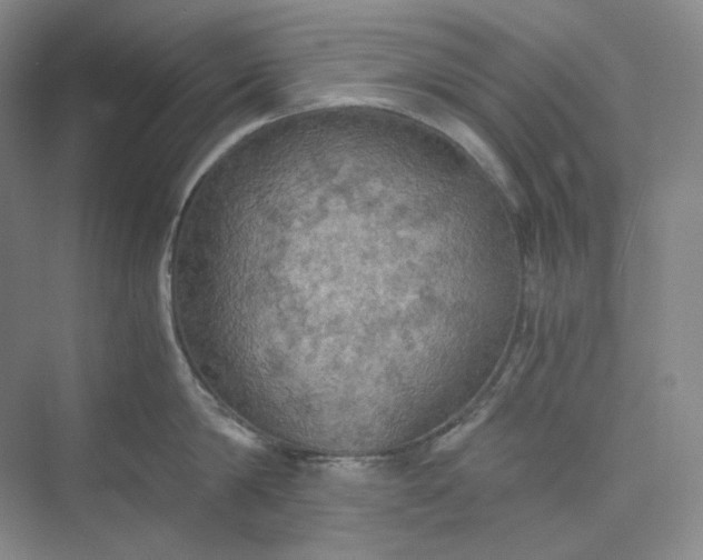 X0000075870814200609291612