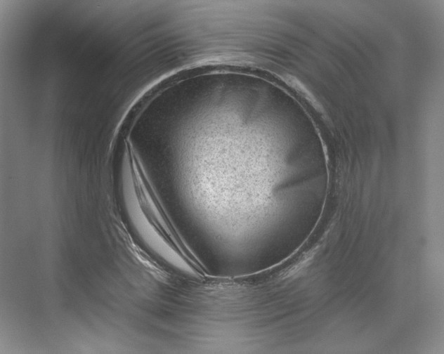 X0000075870830200609291611