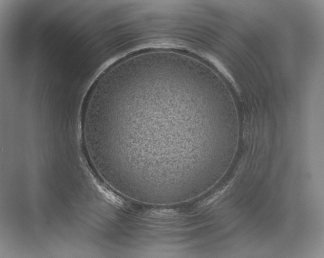 X0000075870837200609291612