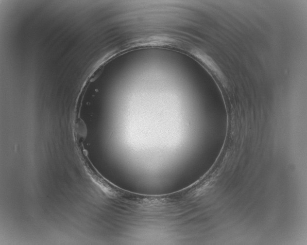 X0000075870850200609291612