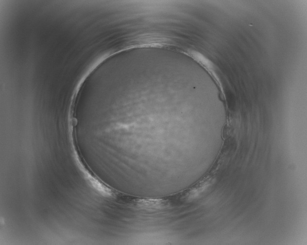 X0000075870859200609291612