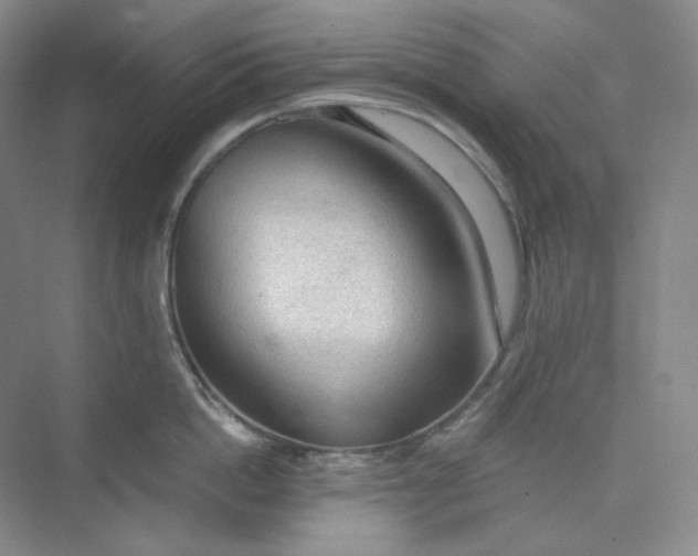 X0000075870862200609291612