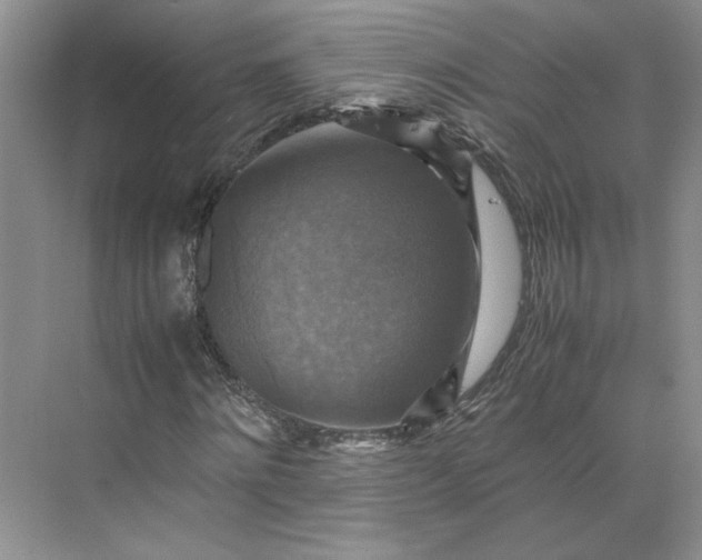 X0000075870868200609291611