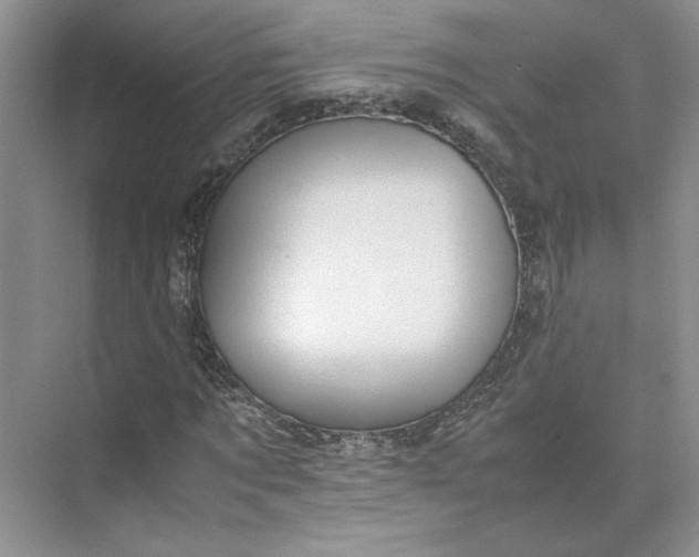 X0000075870869200609291611