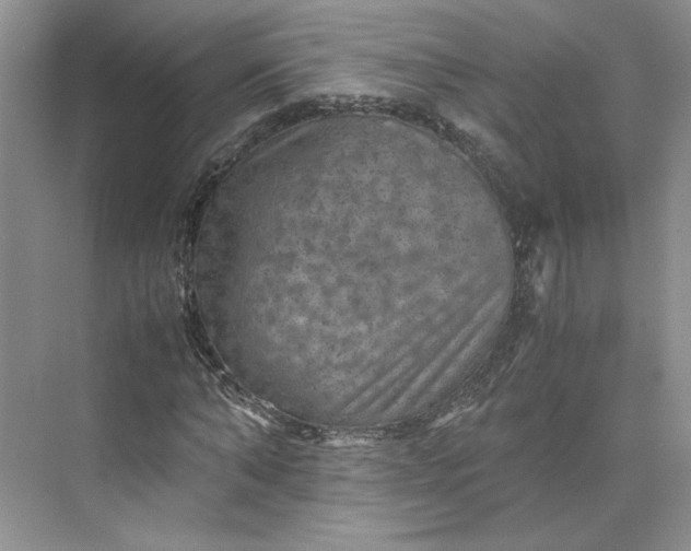 X0000075870870200609291611