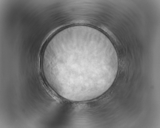 X0000075870886200609291611