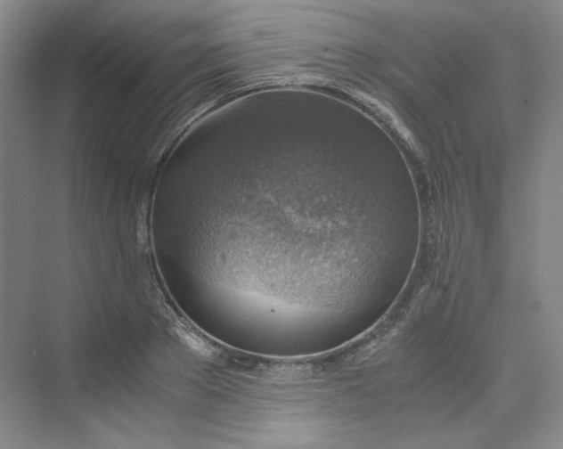 X0000075870889200609291611