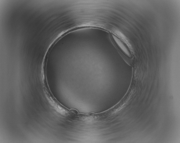 X0000075870892200609291611