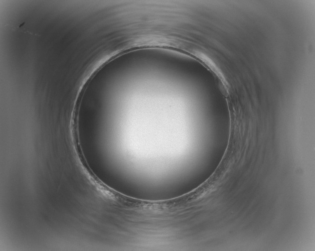 X0000075870901200609291611