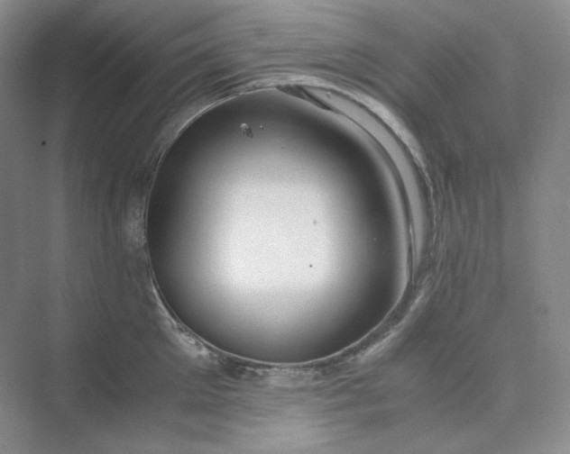 X0000075870905200609291611