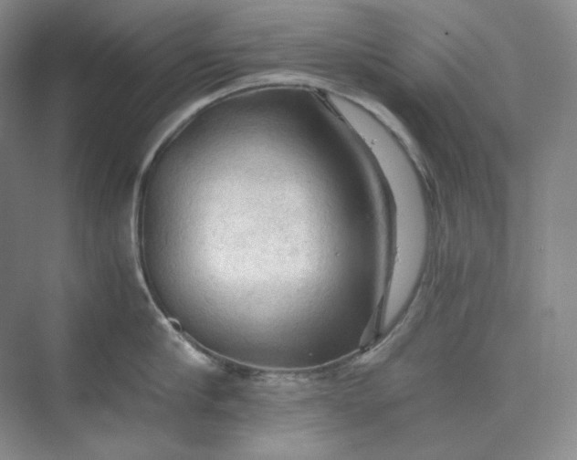 X0000075870910200609291610