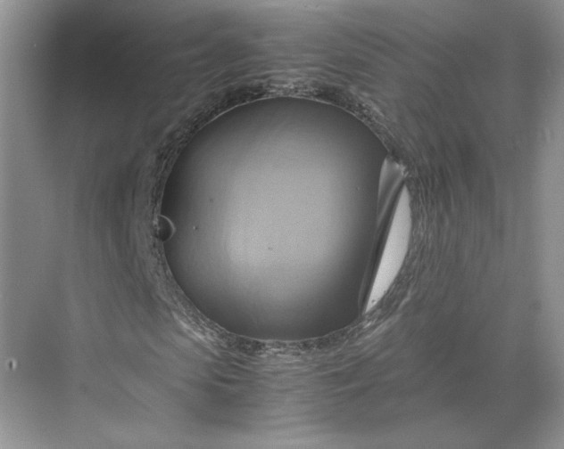 X0000075870913200609291610