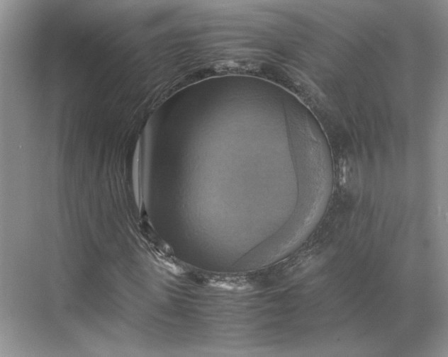 X0000075870915200609291610