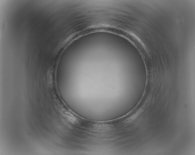 X0000075870921200609291610