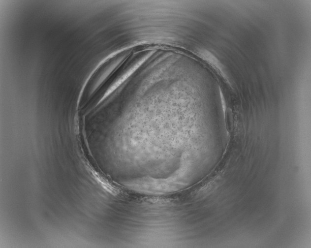 X0000075870924200609291610